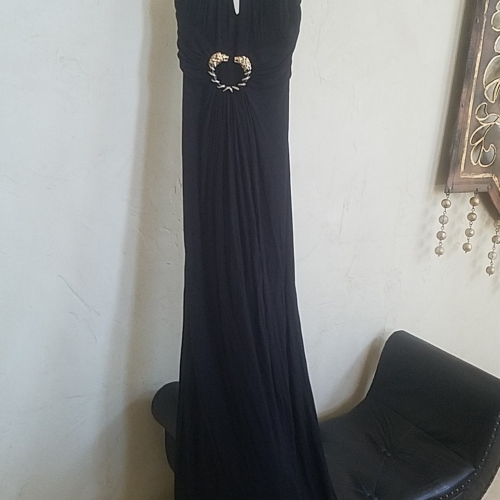 Sky brand maxi dress